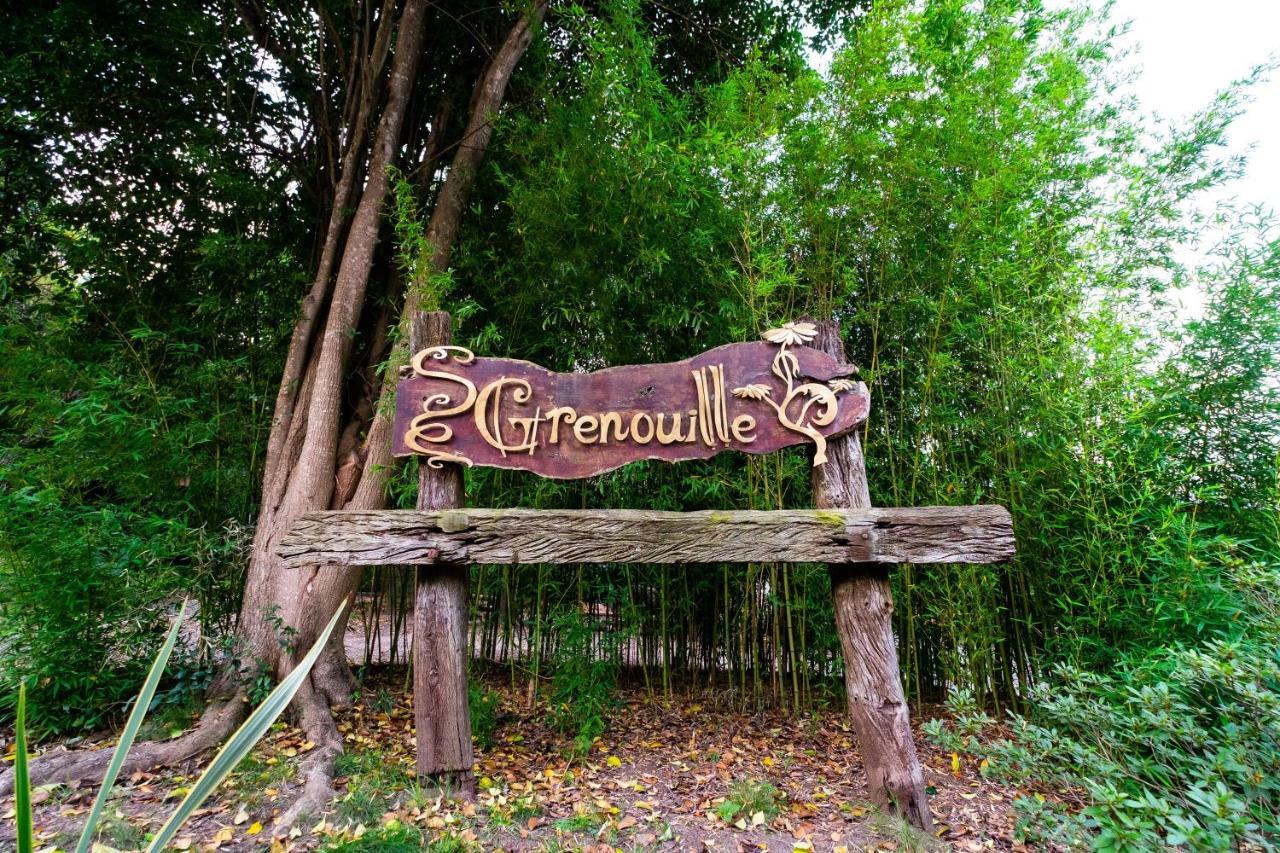 Отель Grenouille Вилья-Хенераль-Бельграно Экстерьер фото